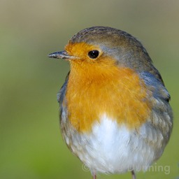 DSC 0009 2 - Version 5