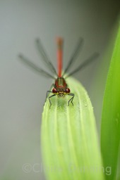 DSC 0015 2 - Version 3