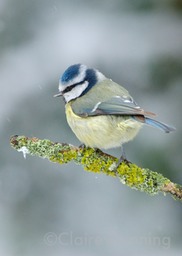 DSC 0047 5 - Version 2