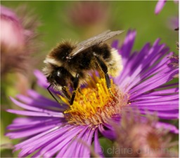 DSC_0052 - Version 2