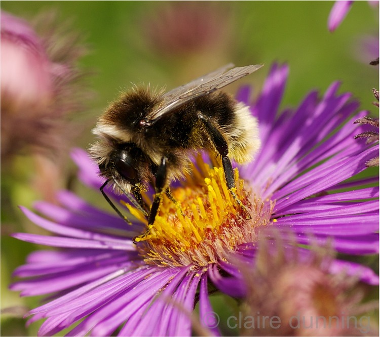 DSC_0052 - Version 2