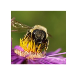 DSC_0058 - Version 2