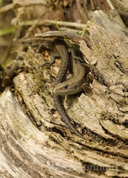 DSC 0124 3 - Version 2