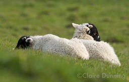 DSC 0365 2 - Version 3