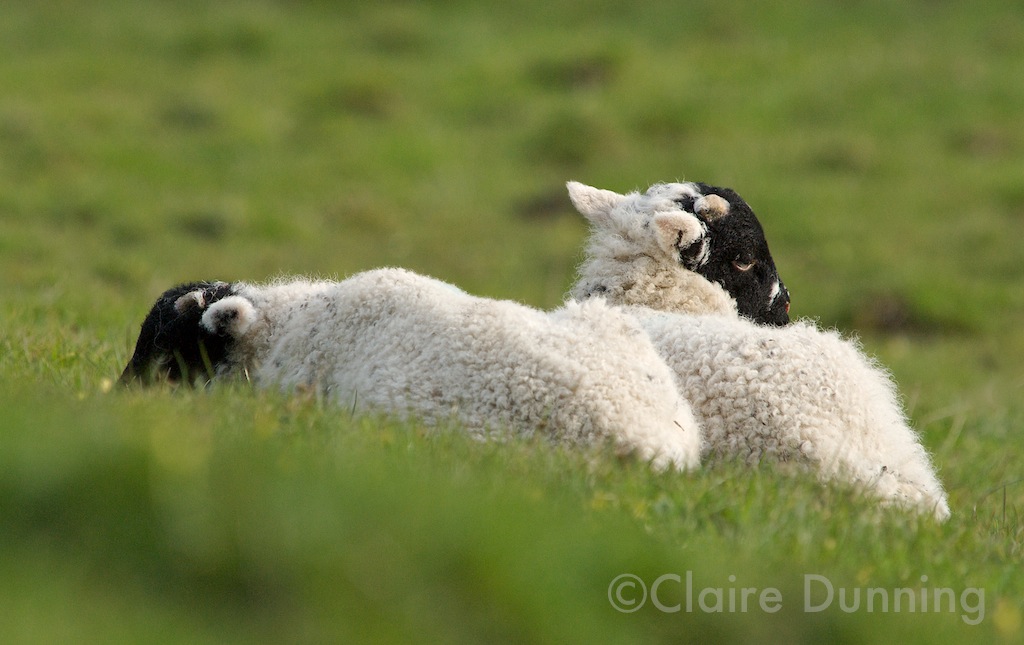 DSC 0365 2 - Version 3