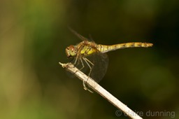 DSC_0408 - Version 2