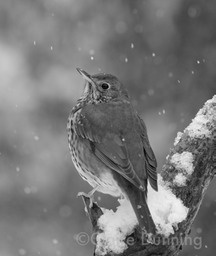 DSC 0902 - Version 4