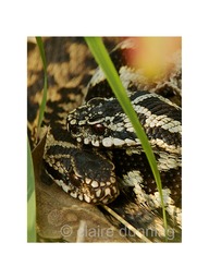 DSC_1801 - Version 2