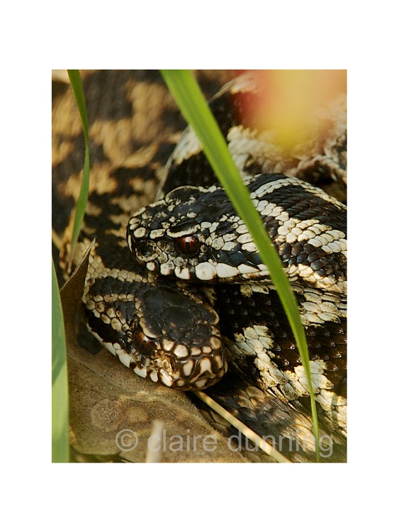 DSC_1801 - Version 2