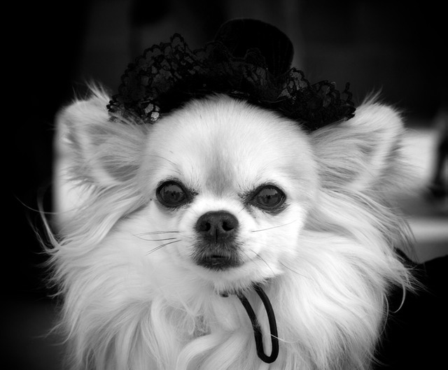 DSC_2178 - Version 2