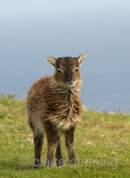 DSC_2569 - Version 2