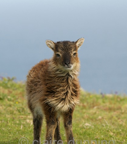 DSC_2569 - Version 2