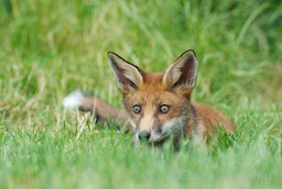 DSC 2573 - Version 2