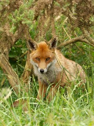 DSC 3327 - Version 4