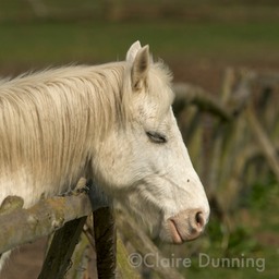 DSC 3896 - Version 4