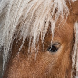 DSC_3957 - Version 2