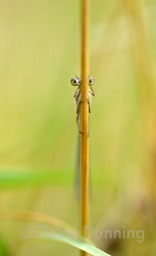 DSC 4188 - Version 2