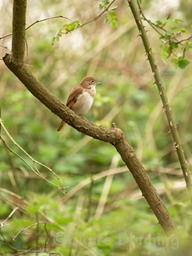 DSC 4577 - Version 2