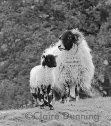 DSC 5171 - Version 2