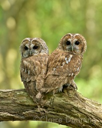 DSC 5484 - Version 3