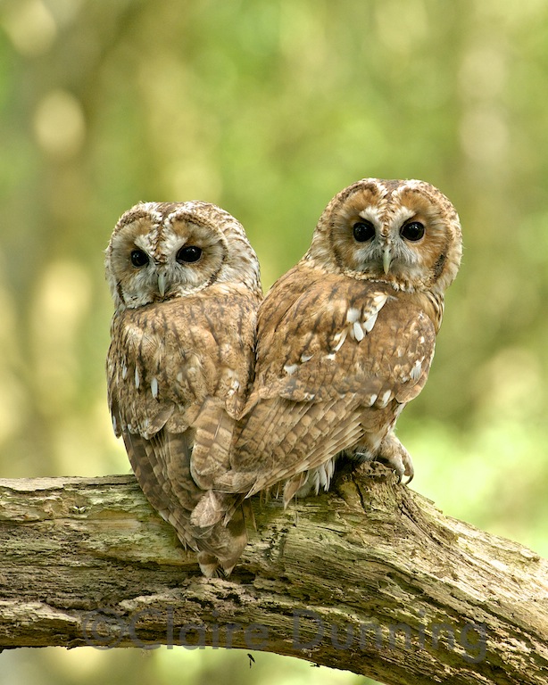 DSC_5484 - Version 2