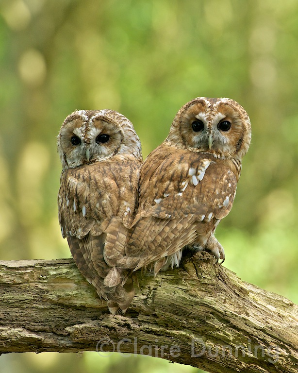 DSC 5484 - Version 3