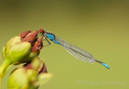 DSC 5626 - Version 2