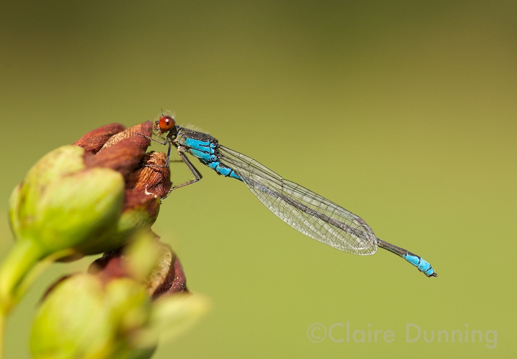 DSC 5626 - Version 2