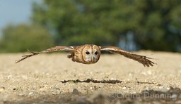 DSC 5645 - Version 2