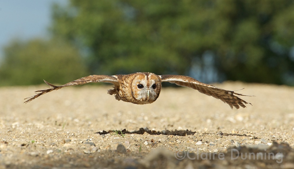 DSC 5645 - Version 2
