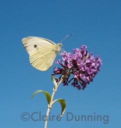 DSC_5780 - Version 2