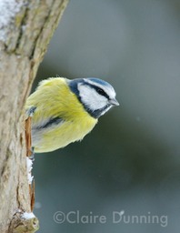 DSC 8481 - Version 2