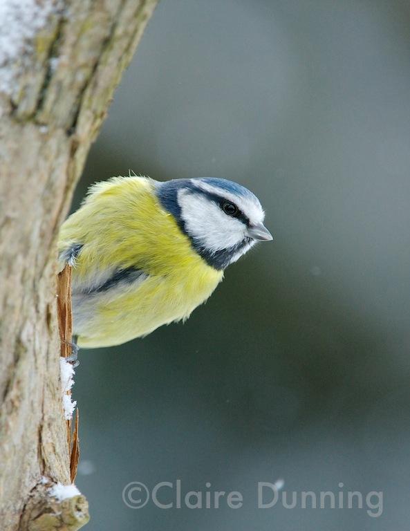 DSC 8481 - Version 2