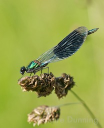 DSC 9360 - Version 3