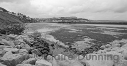 looking into whitby