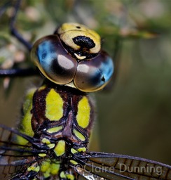 PICT0161 - Version 2